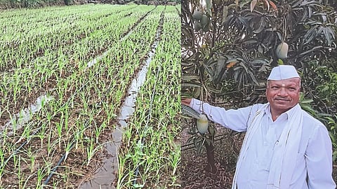 Paddy SRT Technology