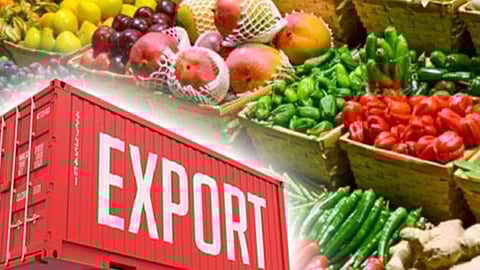 Agriculture Export