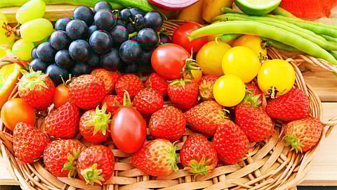Horticulture Export Training Course : निर्यात व्यवसायात करियर करणाऱ्यांसाठी पणन मंडळाचे प्रशिक्षण