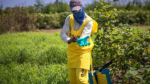 Farmers Foreign Tour