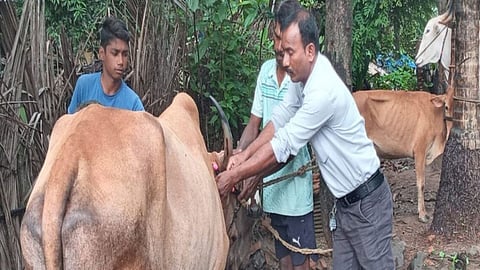 Sangli Animal Husbandry Department