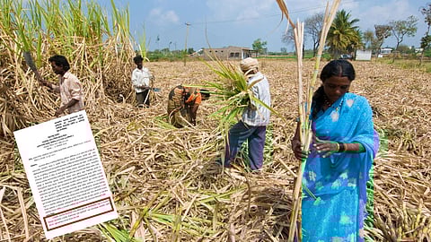 Sugarcane Labor
