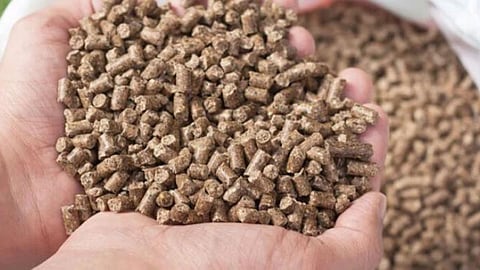 Animal Feed