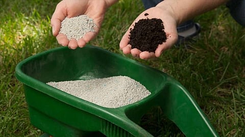 Organic Fertilizer