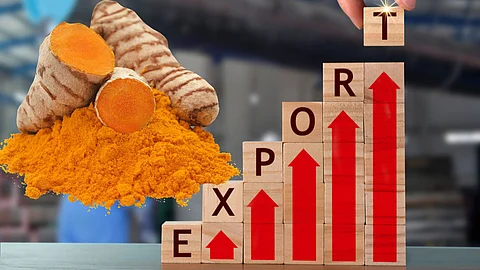 Turmeric Export