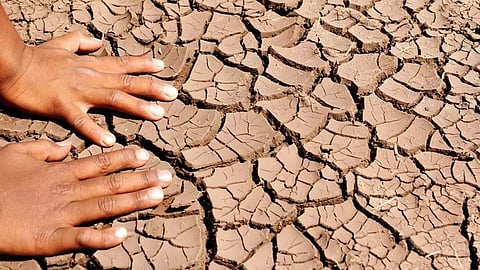 Drought situation in Kolhapur