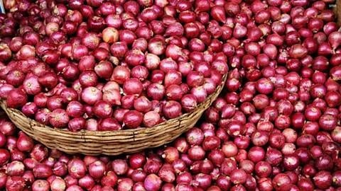 Onion Rate