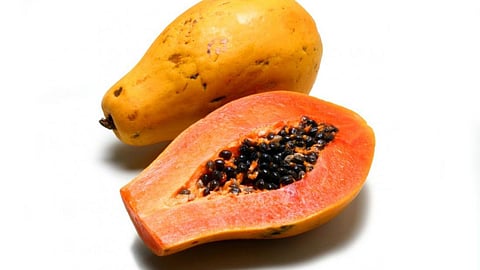 Papaya