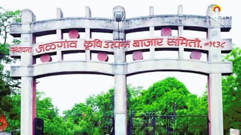 Jalgaon APMC