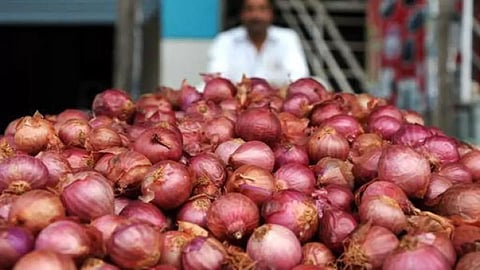 Onion Market