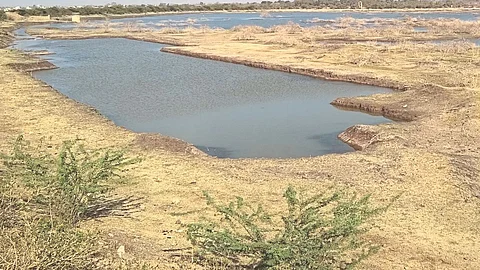 Drought Condition