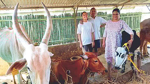 Environment Conservation