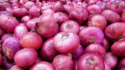 Onion