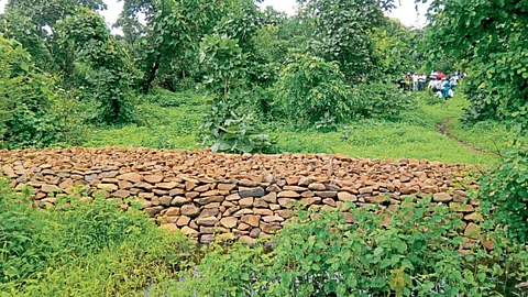 Crop Productivity