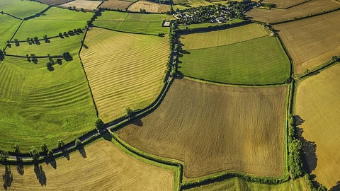 Agriculture Land