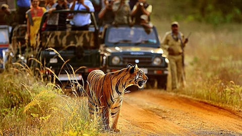 Tadoba Tiger National Park