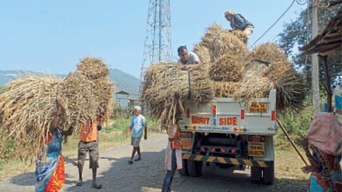 Paddy Procurement