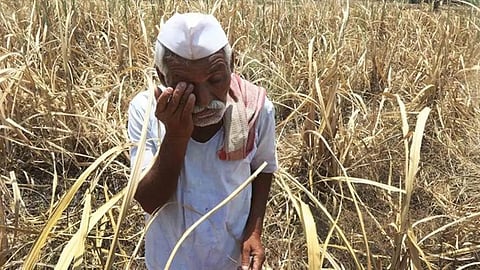 Farmers Death