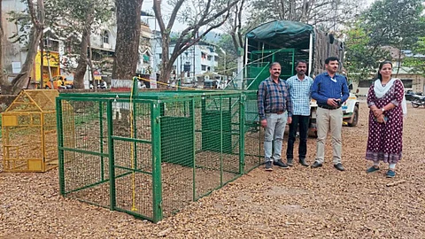 Monkey Cage