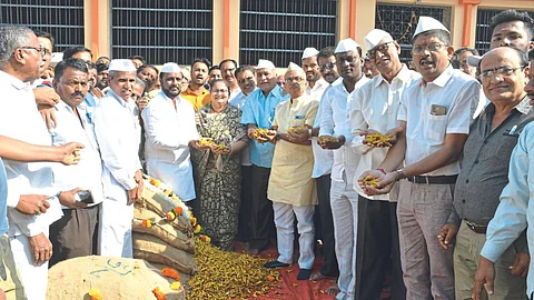 Turmeric Rate