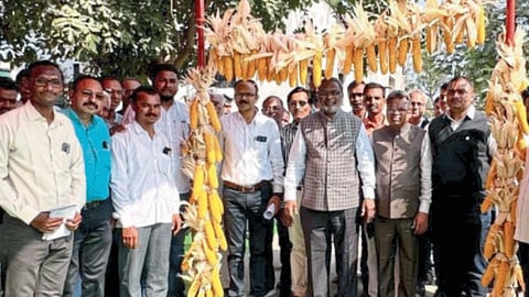 Agriculture Training