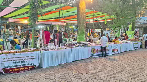 Grape Harvest Festival