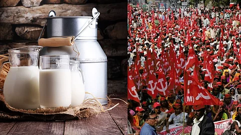 Milk Subsidy