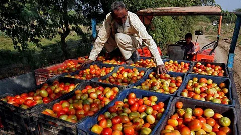 Farmer Company