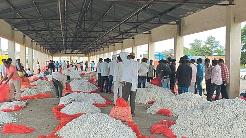 Silk Market