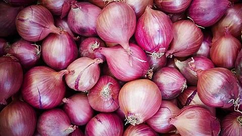Onion