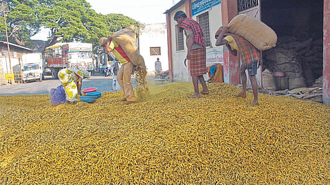 Turmeric Market
