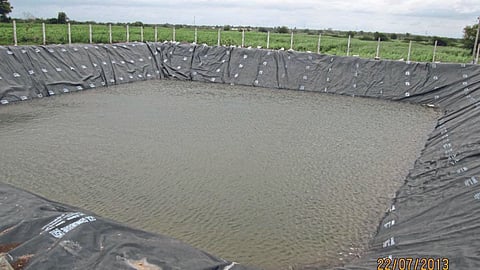 Farm Pond