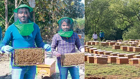 Honey Production