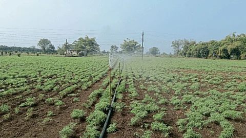 Crop Management