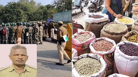 Pulses Import