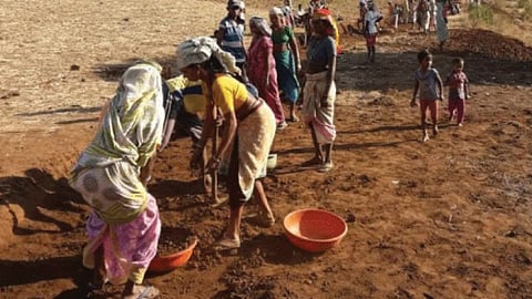 MGNREGA Worker