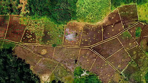 Land Dispute