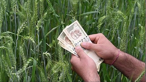 Agriculture Loan