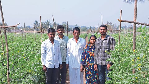 Agriculture Success Story