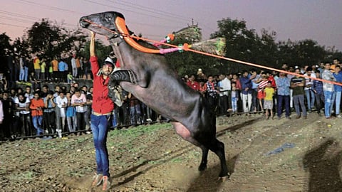 Kolhapur Culture