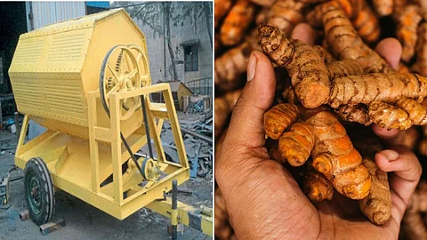 Turmeric