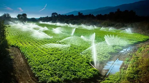 Water Productivity Index
