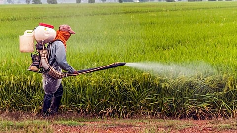 Pesticide Export