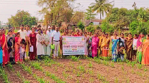 Farmer Seminar