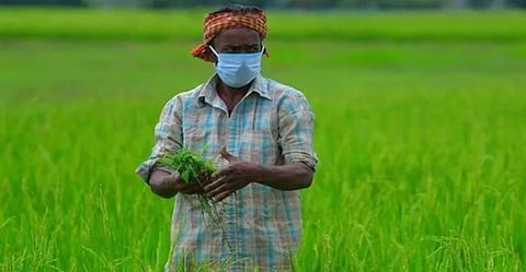 PM Kisan Installment