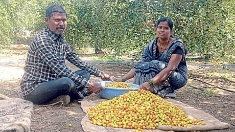 Pandurang and Suvarna Chavhan