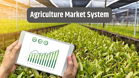 Agriculture Market System
