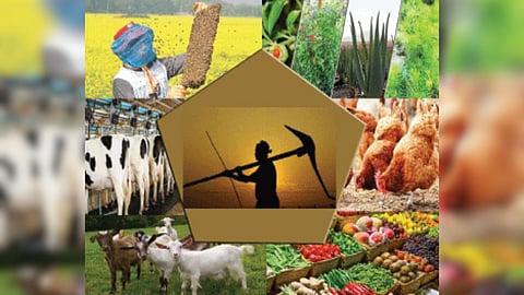 Agriculture Industry