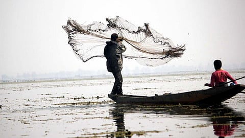 Fishing