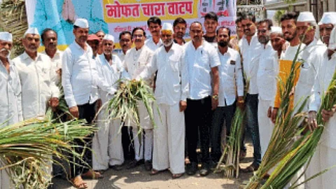 Fodder Shortage